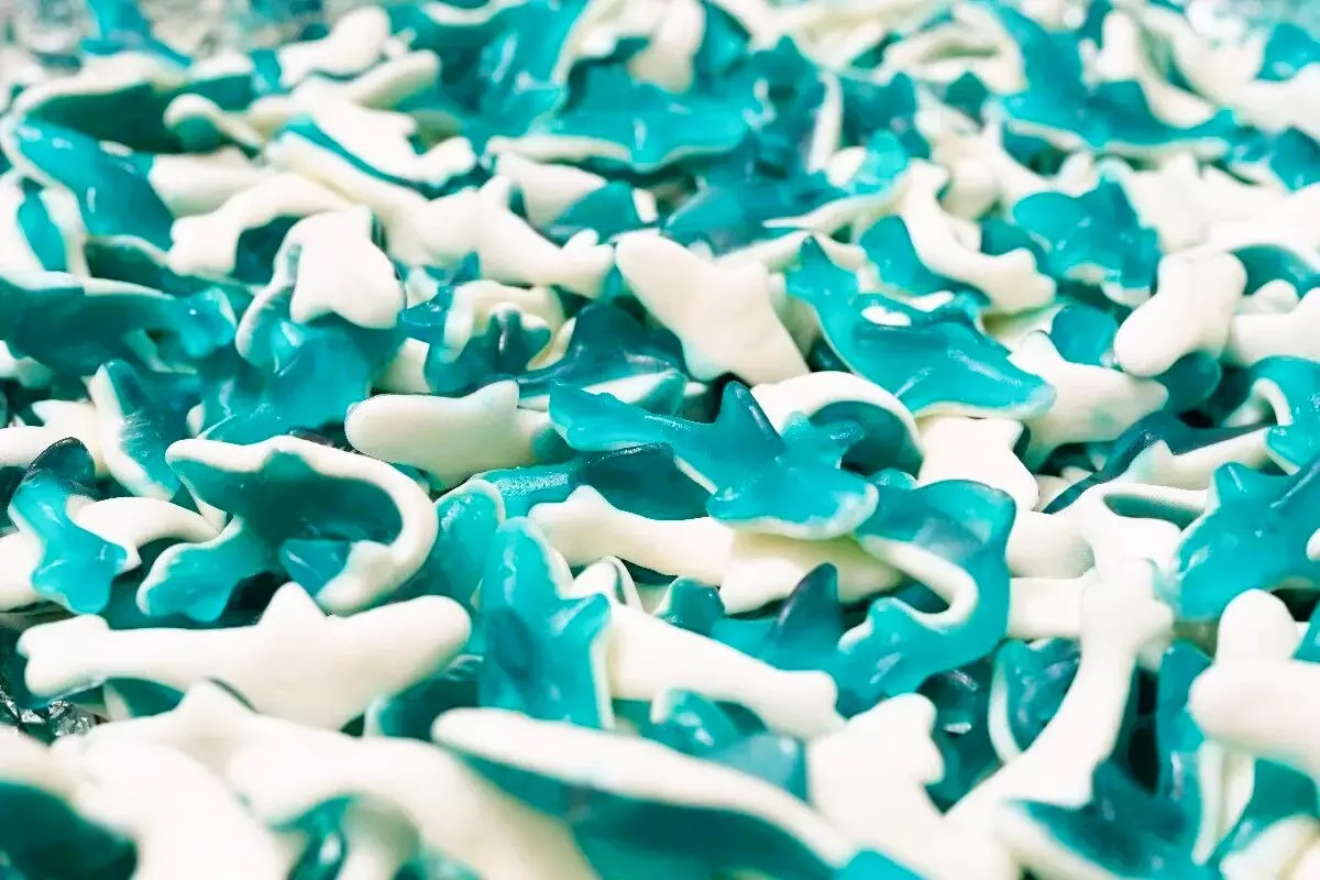 500g Large Blue Sharks Jellies, Halal Aladdins Sweets Tub