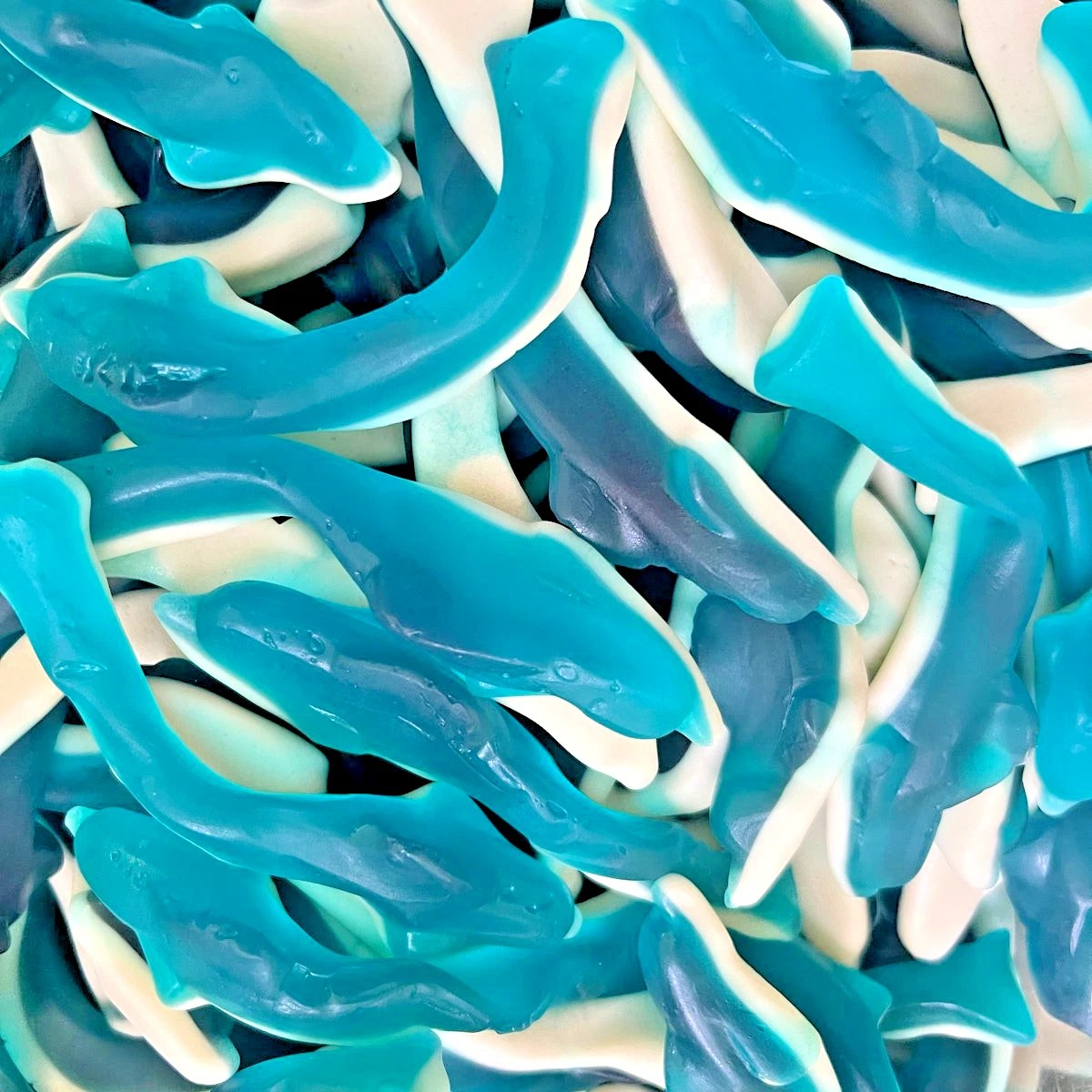 1kg Large Blue Jelly Sharks Bag - Halal Jellies |Aladdins Sweets